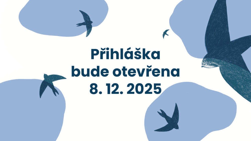 Dyzajn market Jaro - DM11